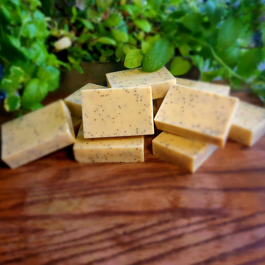 Burnt Orange, Poppy Seed & Shea Butter Soap
