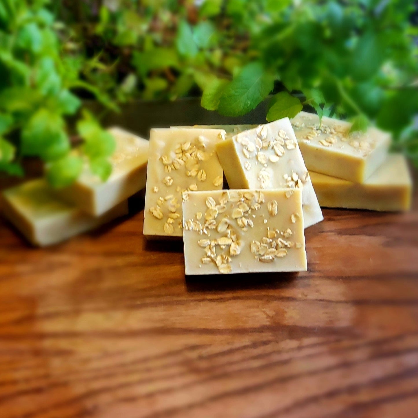 Organic Honey, Cinnamon & Whole Oats with Cocoa & Shea Butter Soap