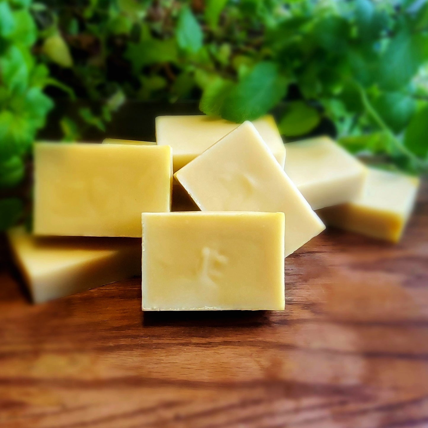 Burnt Orange, Honey, Cinnamon & Shea Butter Soap