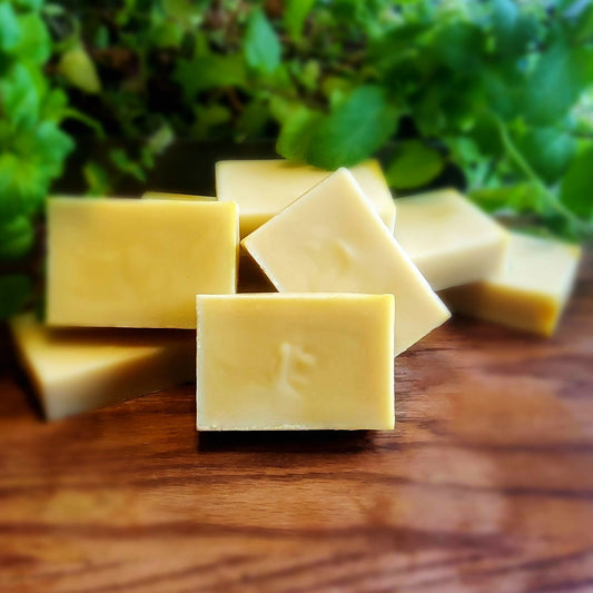 Burnt Orange, Honey, Cinnamon & Shea Butter Soap