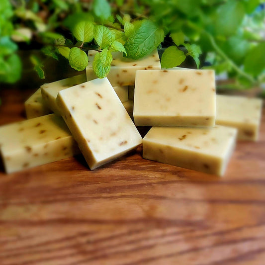 Bergamot, Lavender, Honey & Shea Butter Soap