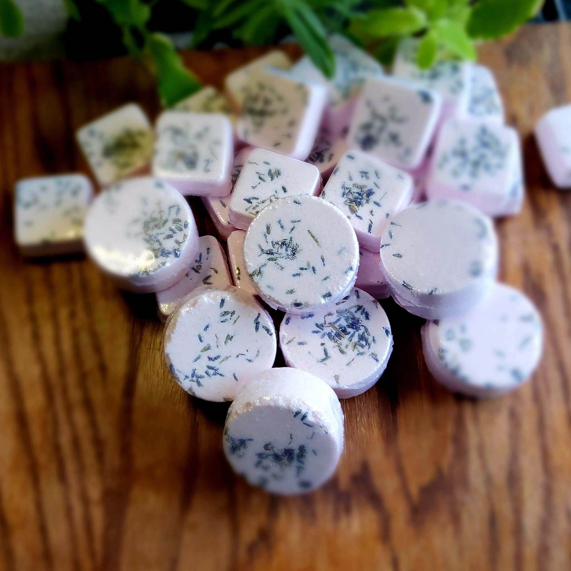 One inch round shower steamers colored mildly with natural pink mica topped with organically grown lavender flower buds handmade in small batches by Gothic & Ivy. With a grey planter behind them showcasing three different kinds of mint.