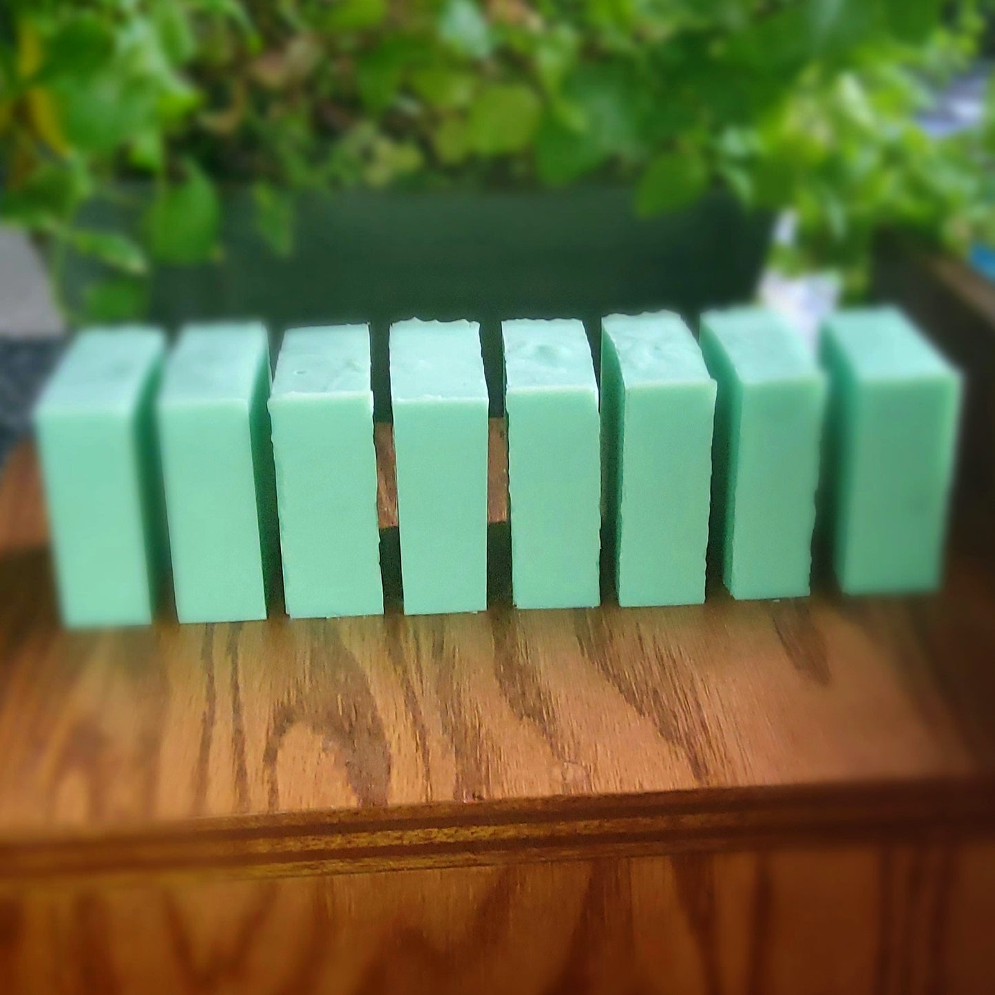 Bright Green colored square soap with natural mica handcrafted with care by Gothic & Ivy, are lined up in a row showing the narrow edges, in front of a grey planter containing three varieties of freshly growing mint.