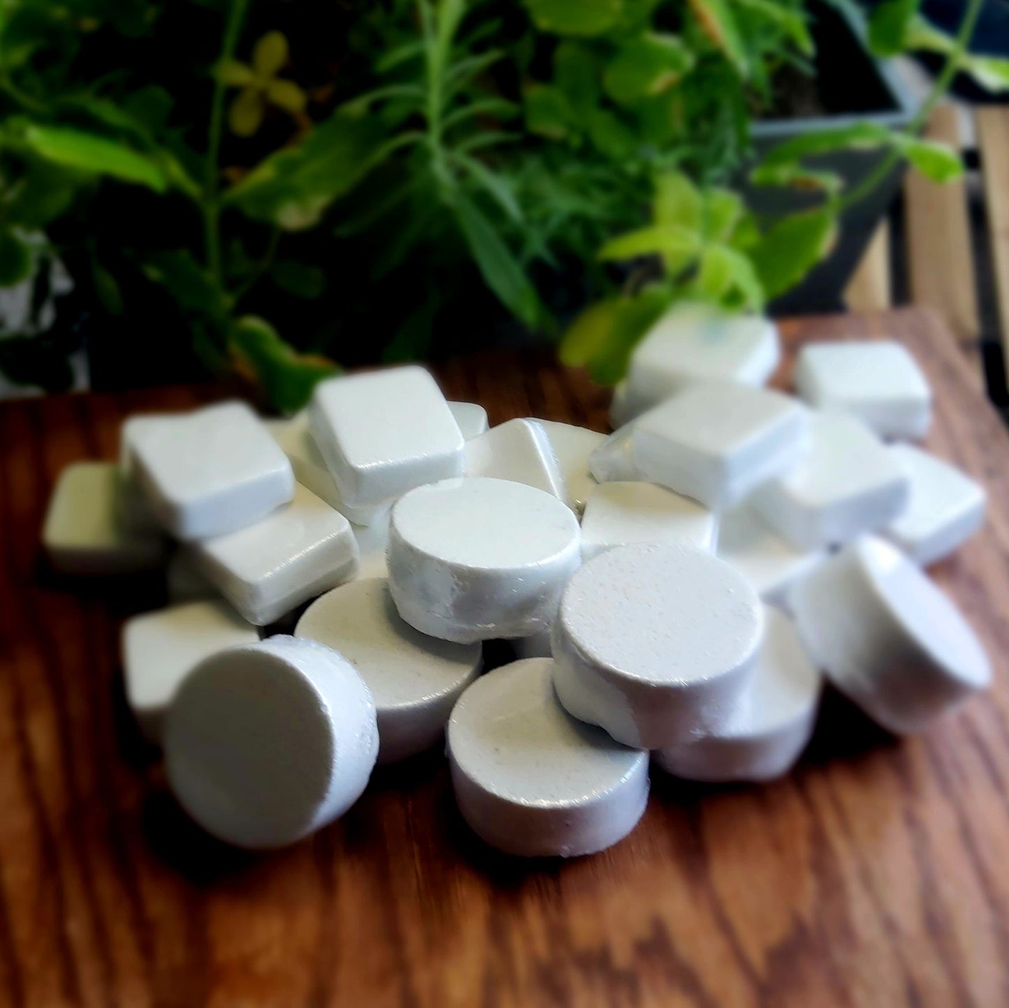 Round shaped shower steamers colored mildly with natural grey mica topped with organically grown dried spearmint from the planter behind them. Handmade in small batches by Gothic & Ivy.