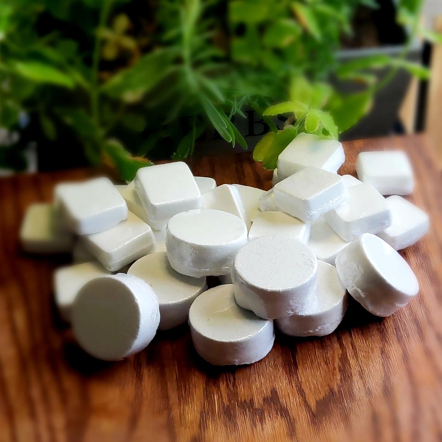 Round shaped shower steamers colored mildly with natural grey mica topped with organically grown dried spearmint from the planter behind them. Handmade in small batches by Gothic & Ivy.