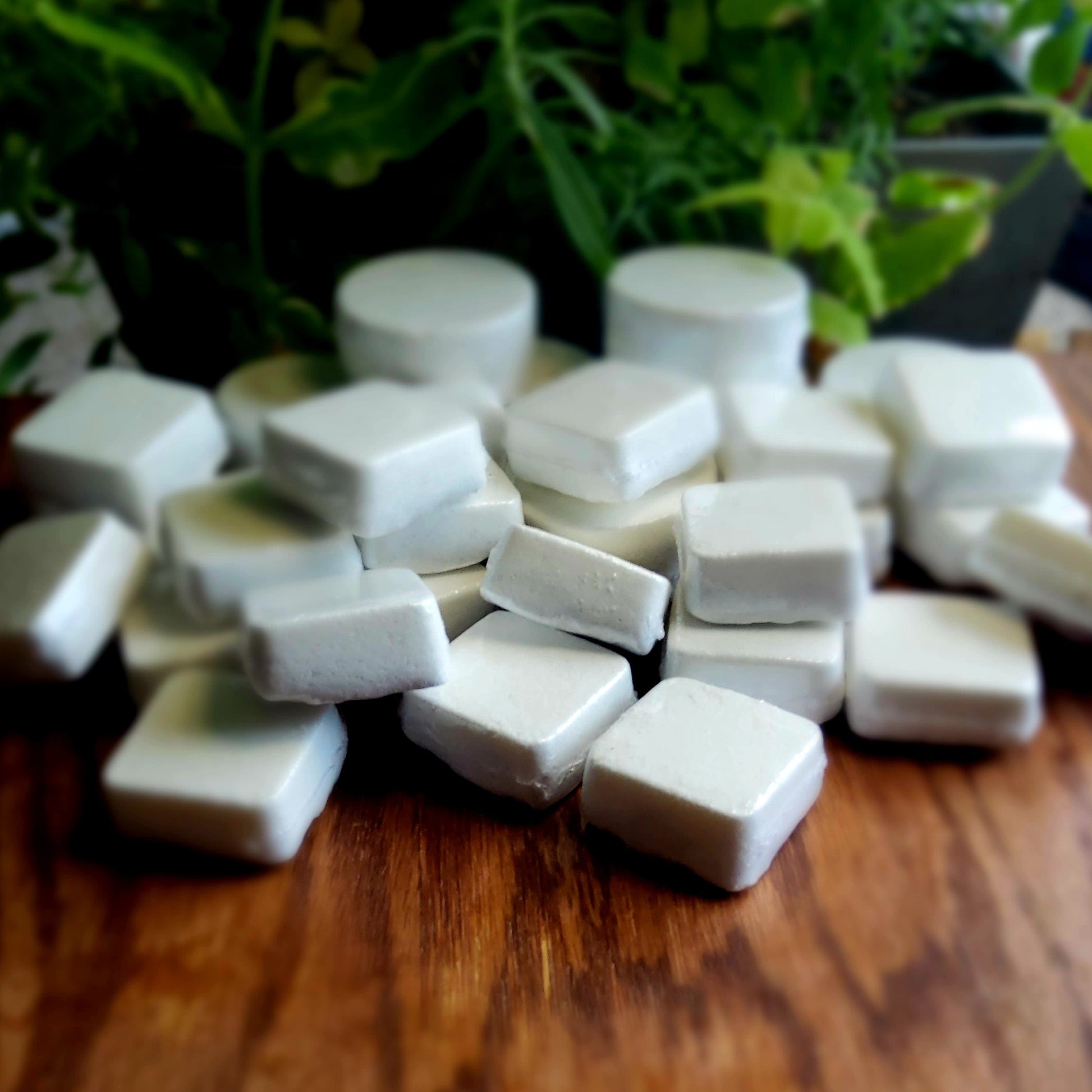 Square-shaped shower steamers colored mildly with natural grey mica topped with organically grown dried spearmint from the planter behind them. Handmade in small batches by Gothic & Ivy.