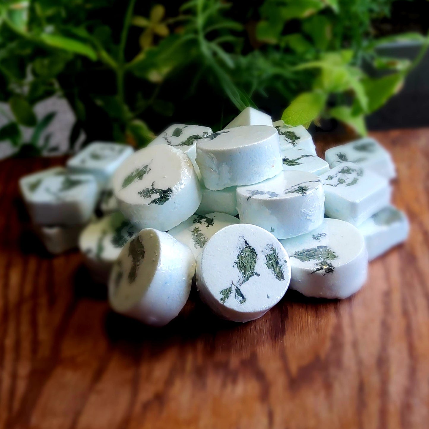 One inch round shower steamers colored mildly with natural green mica topped with organically grown dried spearmint from the planter behind them. handmade in small batches by Gothic & Ivy. With a grey planter behind them showcasing three different kinds of mint.