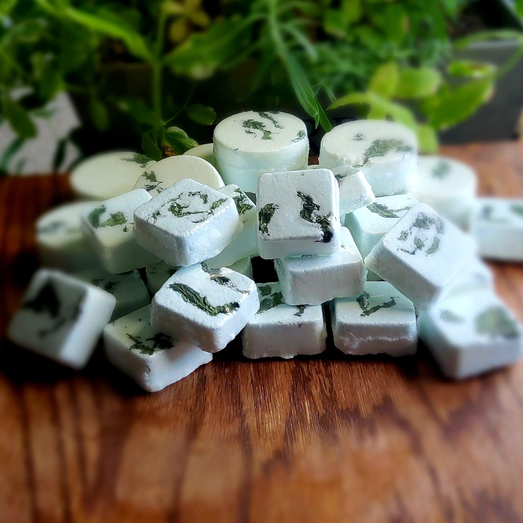 Square-shaped shower steamers colored mildly with natural green mica topped with organically grown dried spearmint from the planter behind them. handmade in small batches by Gothic & Ivy. With a grey planter behind them showcasing three different kinds of mint.