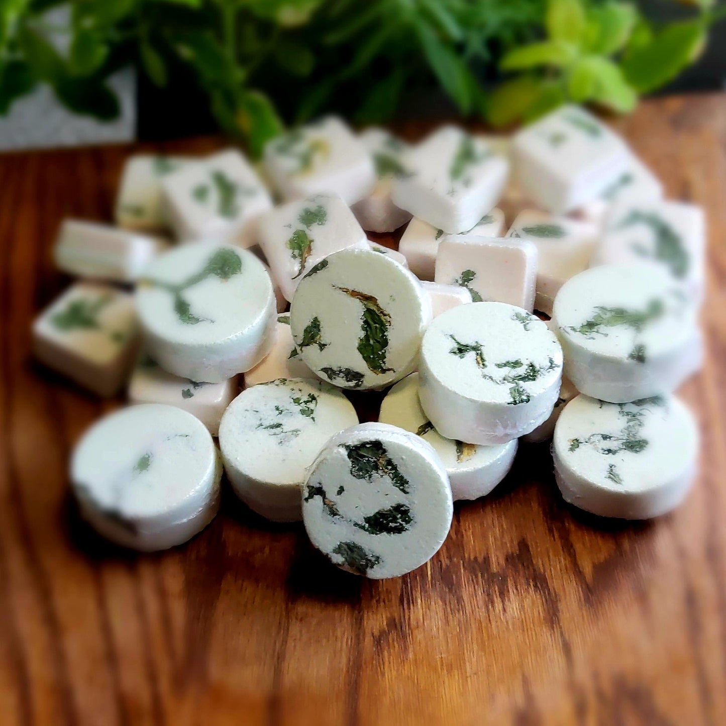 One inch round shower steamers colored mildly with natural green and pink mica topped with organically grown dried spearmint from the planter behind them. handmade in small batches by Gothic & Ivy. With a grey planter behind them showcasing three different kinds of mint.