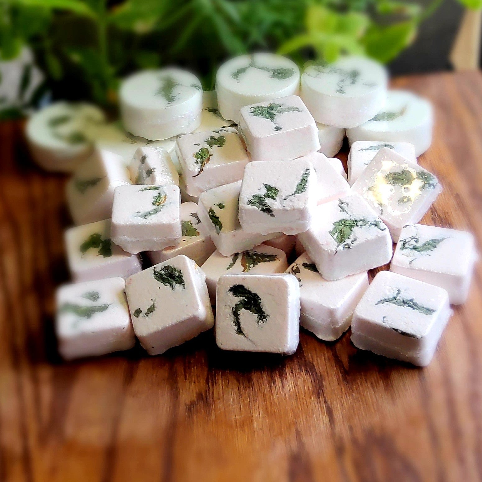 Square-shaped shower steamers colored mildly with natural green and pink mica topped with organically grown dried spearmint from the planter behind them. handmade in small batches by Gothic & Ivy. With a grey planter behind them showcasing three different kinds of mint.