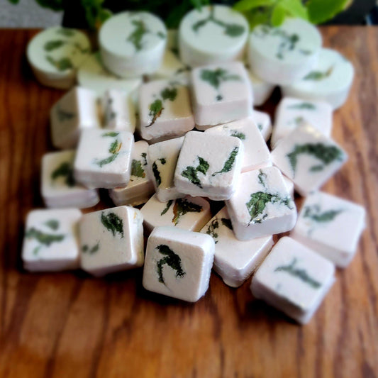 Square-shaped shower steamers colored mildly with natural green and pink mica topped with organically grown dried spearmint from the planter behind them. handmade in small batches by Gothic & Ivy. With a grey planter behind them showcasing three different kinds of mint.