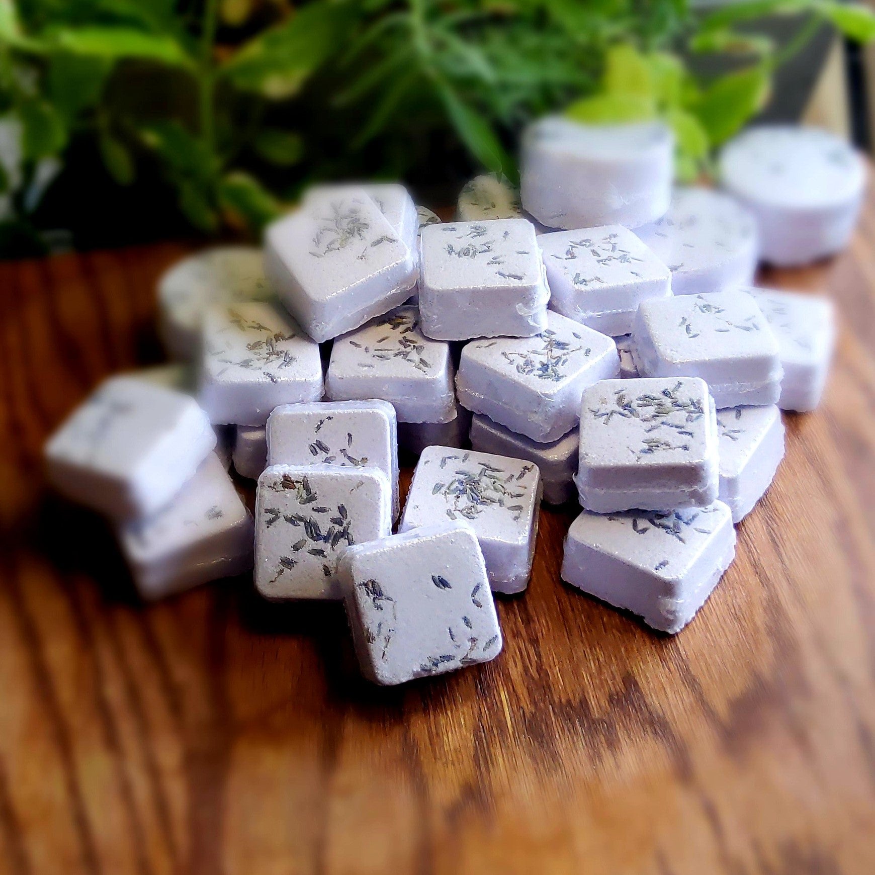 Square-shaped shower steamers colored pale purple mica and topped with organic lavender flower buds, handcrafted in small batches by Gothic & Ivy. With a grey planter behind them showcasing three different kinds of mint.