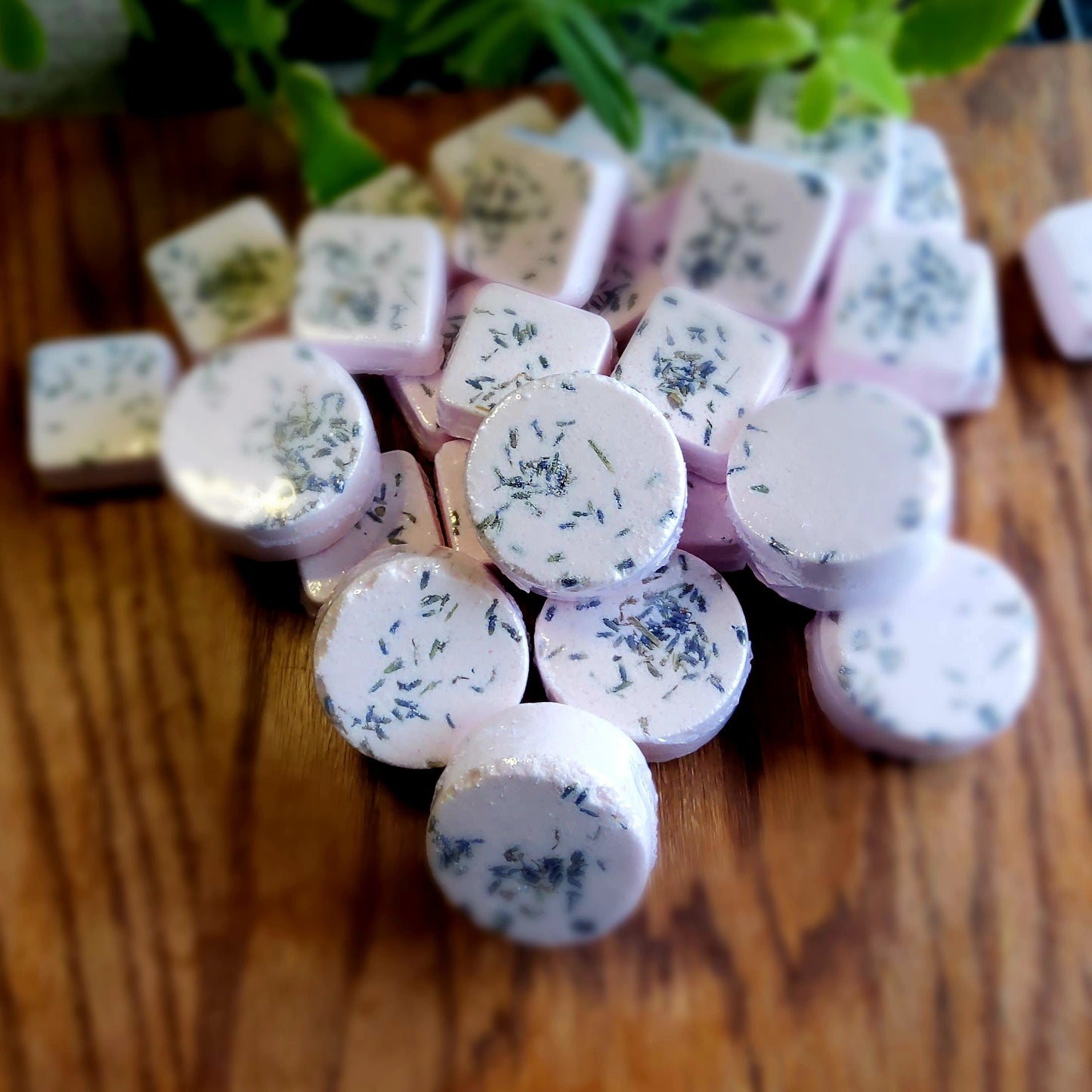 One inch round shower steamers colored mildly with natural pink mica topped with organically grown lavender flower buds handmade in small batches by Gothic & Ivy. With a grey planter behind them showcasing three different kinds of mint.  