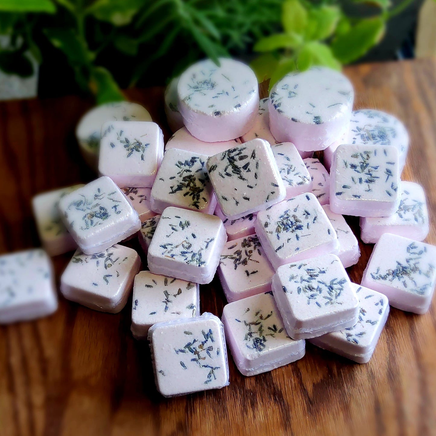 Square-shaped shower steamers colored mildly with natural pink mica topped with organically grown lavender flower buds handmade in small batches by Gothic & Ivy. With a grey planter behind them showcasing three different kinds of mint.  