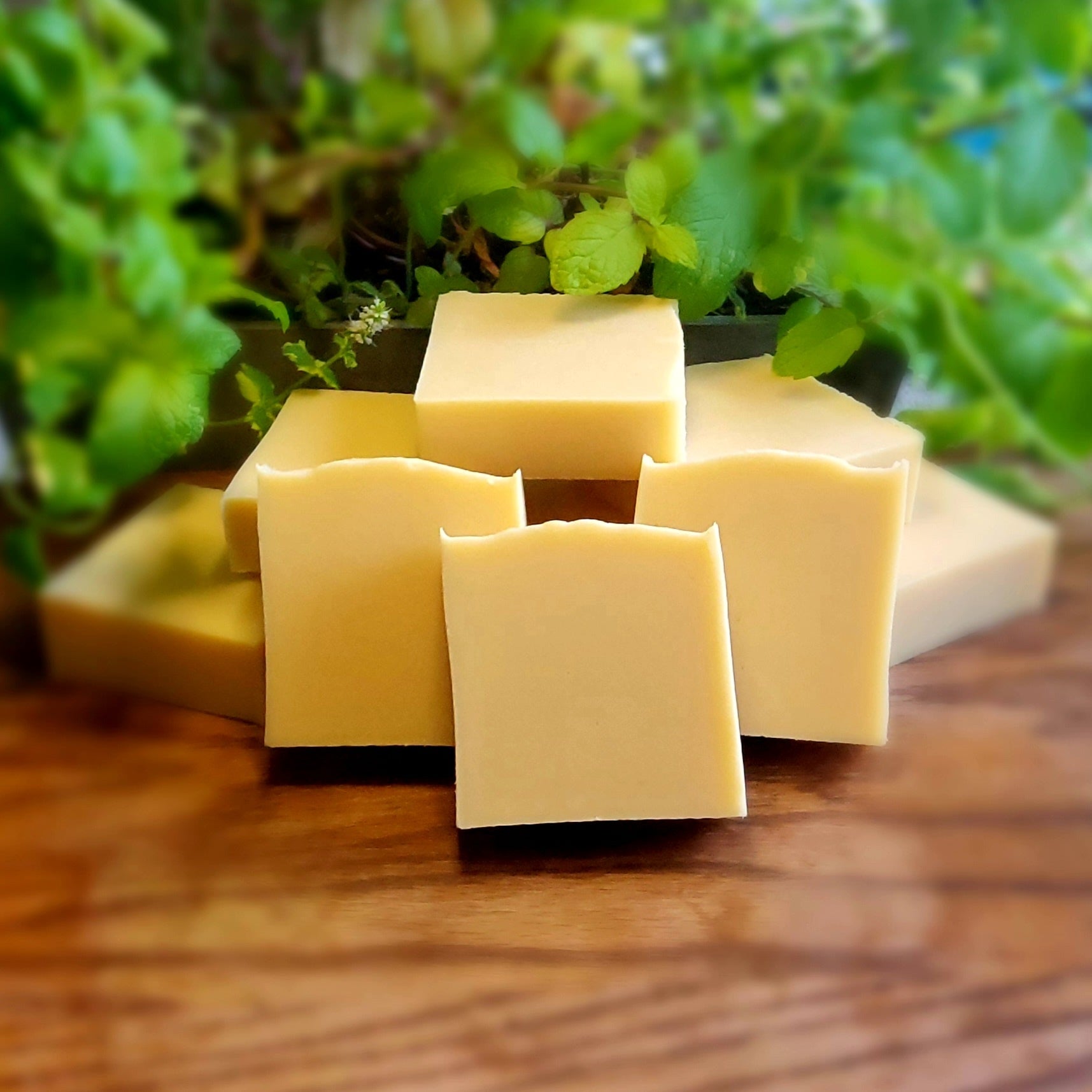 Pale orange colored square soap with natural mica handcrafted with care by Gothic & Ivy, are stacked and arranged in front of a grey planter containing three varieties of freshly growing mint.