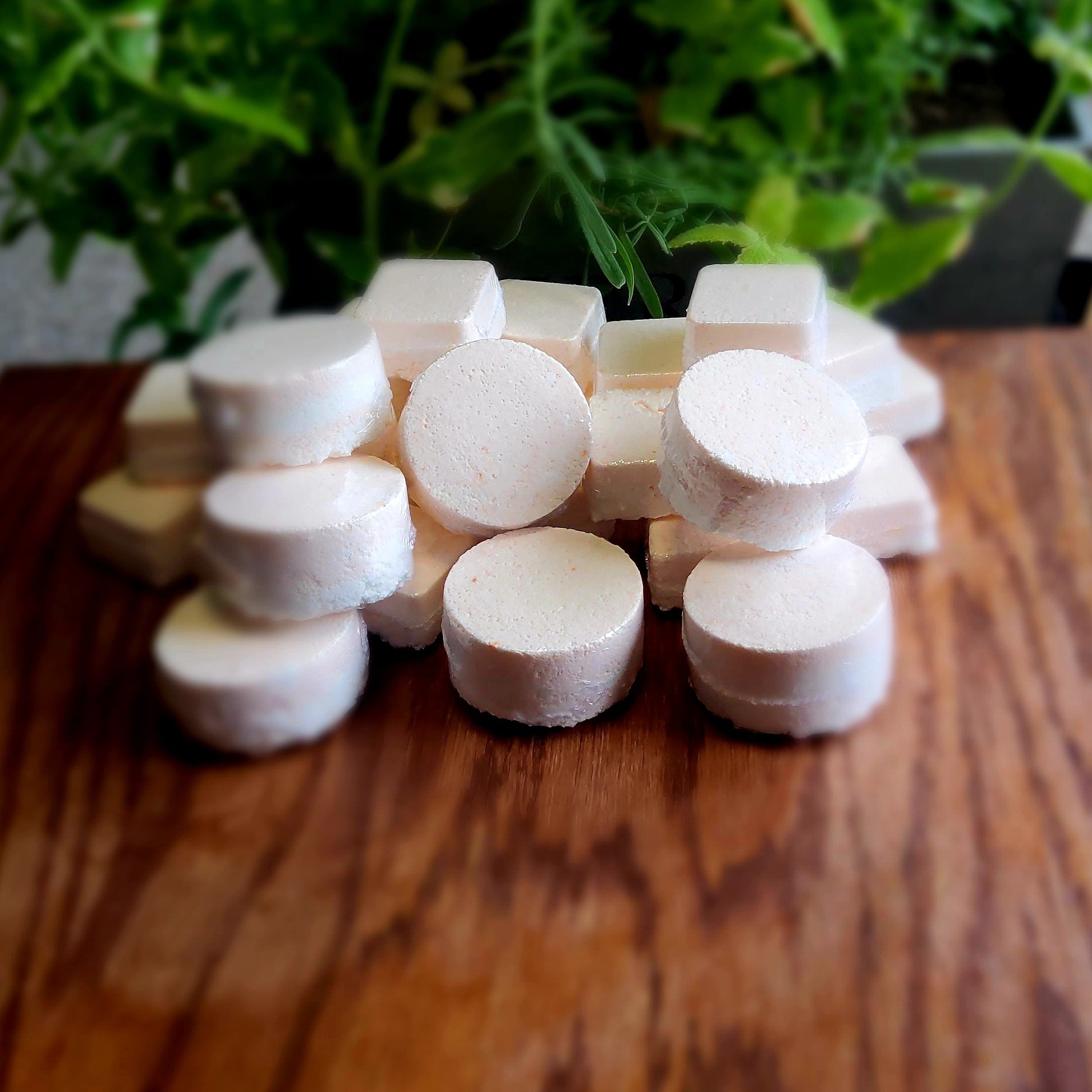 One inch round shower steamers colored with orange and vanilla mica, handmade in small batches by Gothic & Ivy. With a grey planter behind them showcasing three different kinds of mint.